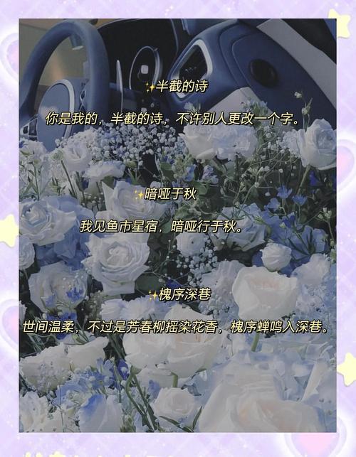 如何欣赏官网设计界的惊艳杰作，网名美轮美奂，带你领略设计之美？