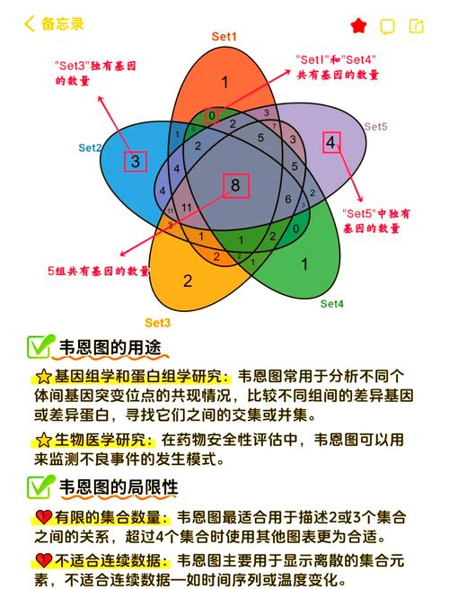 C++ STL map中的emplace()和emplace_hint()方法究竟有何不同之处？