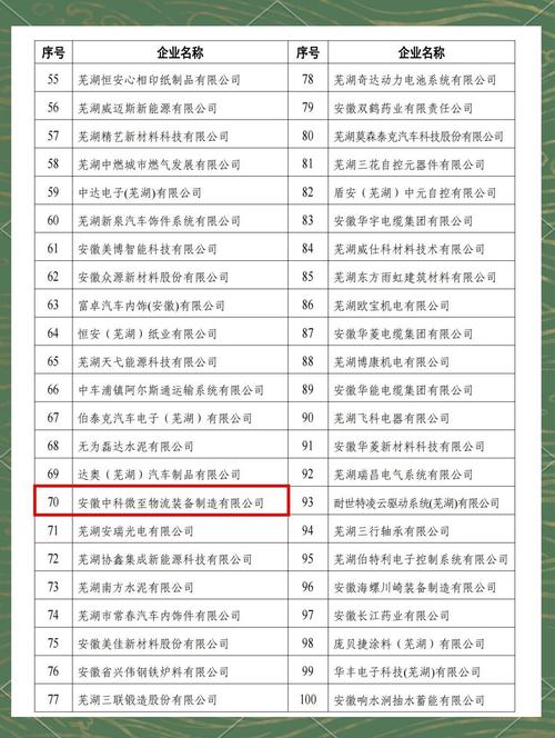 芜湖哪家企业是繁昌SEO领域的翘楚，位列芜湖十强？