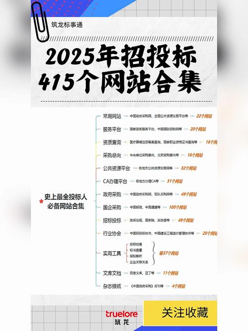 沙坡头区专业网站建设深度探索和招标公告中包含哪些关键要素？