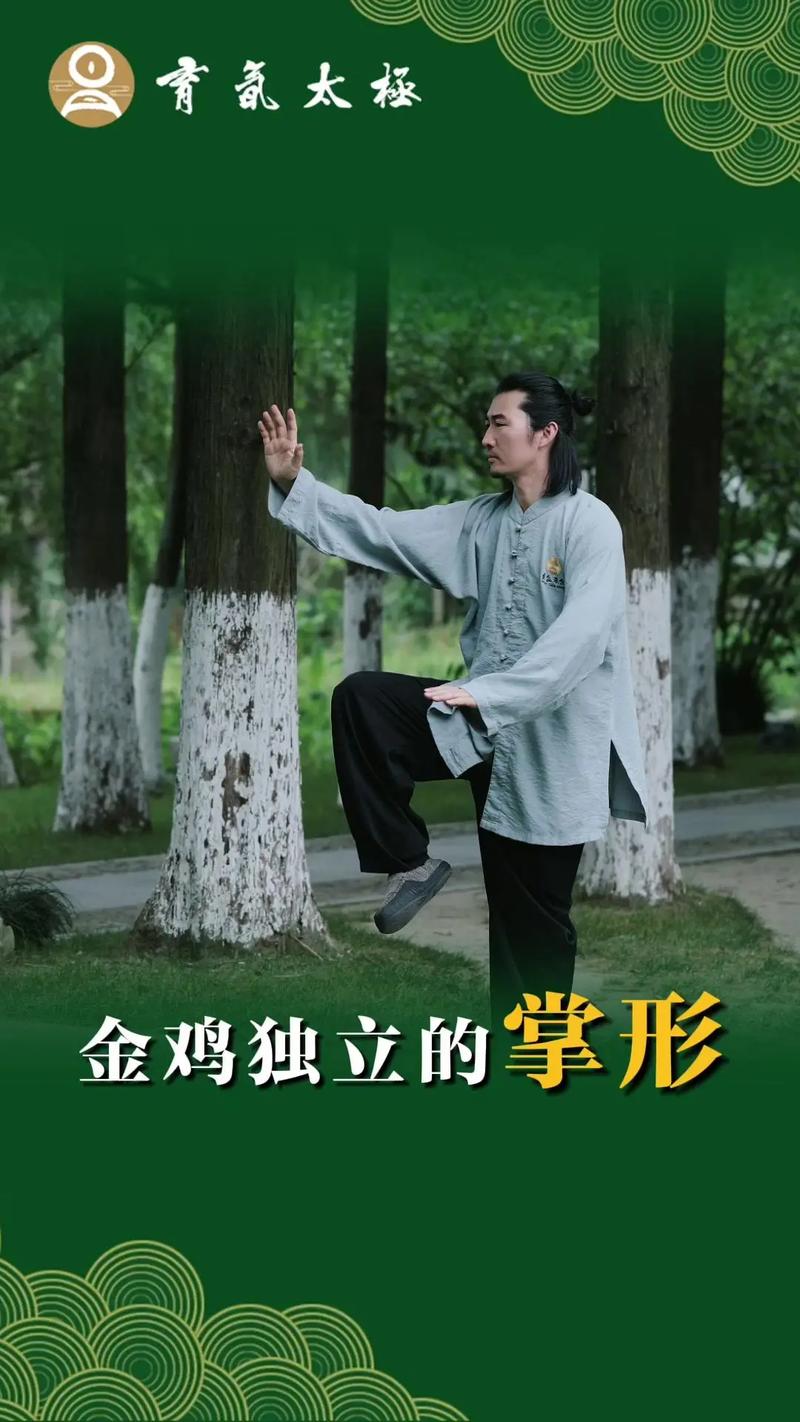 如何正确练习金鸡独立站桩？新手必看通俗教学指南？