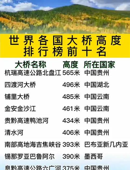 搜索引擎排名中，哪一桥梁与影响力最为关键？