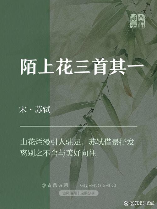 [BZOJ3262]陌上花开这个题目，你了解吗？