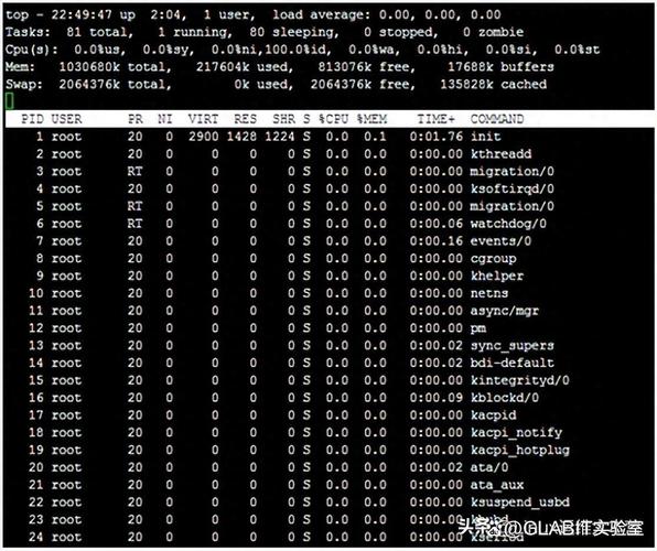如何在FetchLinux上轻松实现Linux系统性能的实时监控与全面分析？