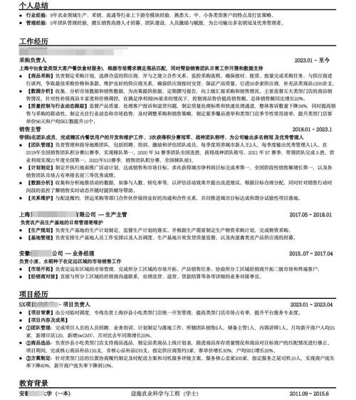 如何同过SEO优化专家的简历优化技巧，有效提升我的求职竞争力？