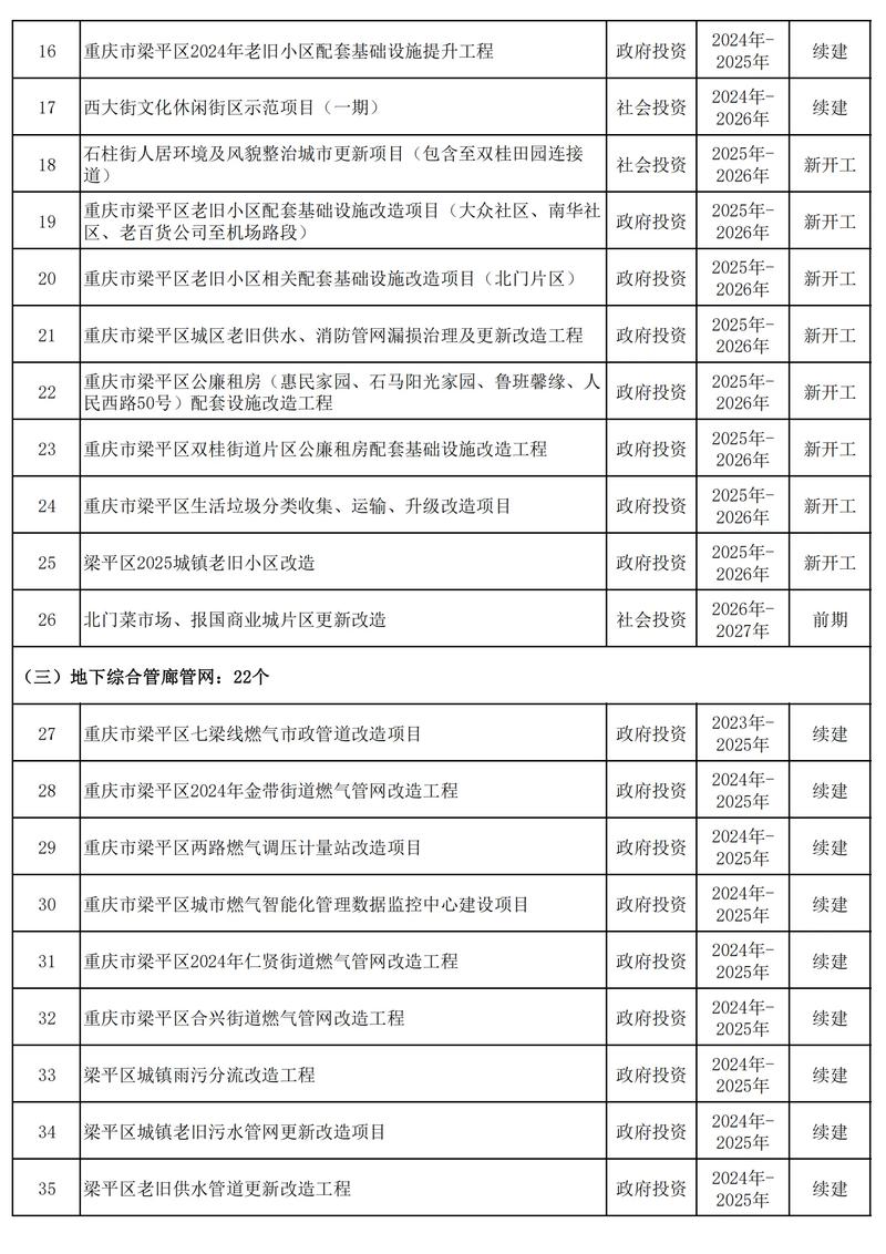如何区分哪些项目是重大与哪些是重点项目？