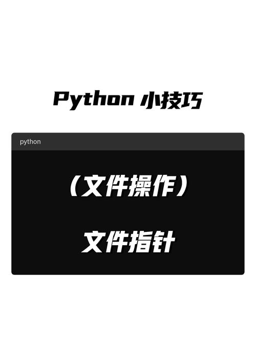 如何运用Python的seek和tell函数实现文件指针的精准定位与查询？