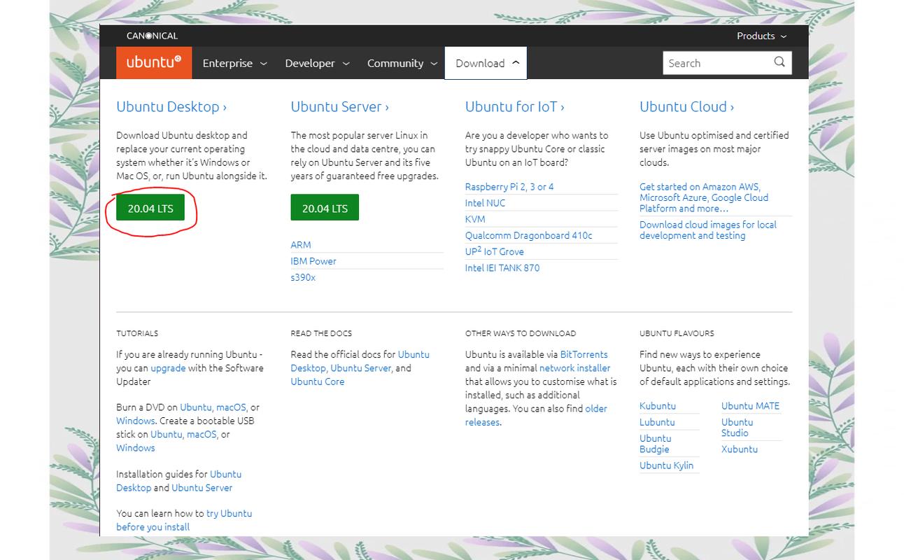 如何超详细安装Ubuntu 20.04 Apache PHP网页环境并解决常见问题？
