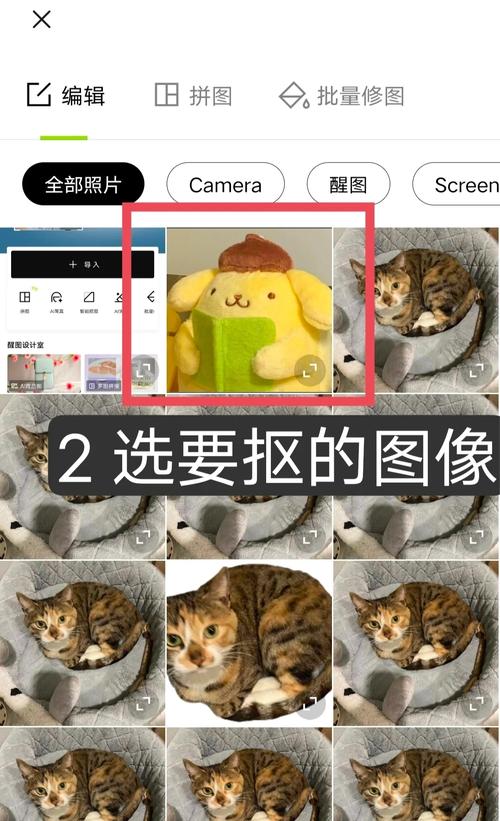 如何用PIL和cv2实现Python蒙版抠图并输出透明背景图片？