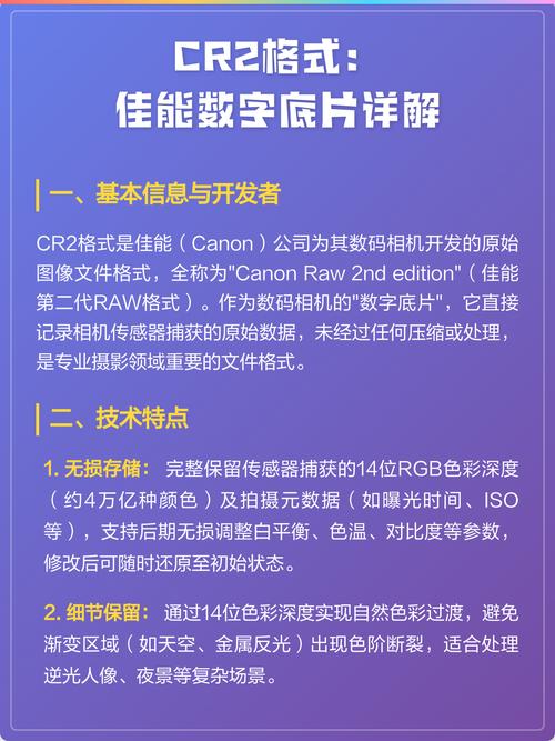 什么是CR2文件格式及其应用场景？