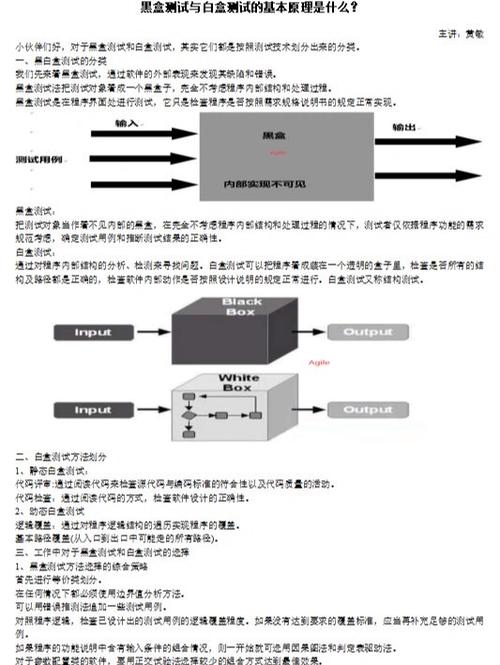 如何将PHP代码测试功能的黑盒测试与白盒测试技术有效结合与应用？