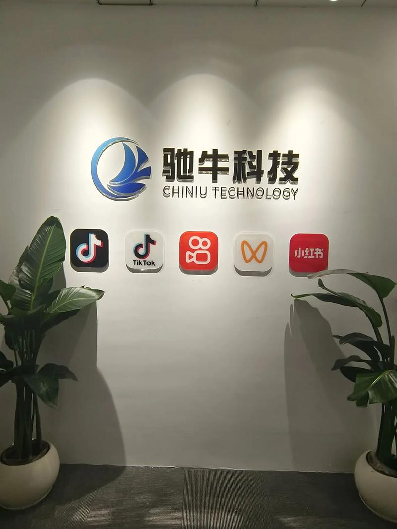 驰牛科技，您值得信赖的网站建设与机械伙伴，哪家更靠谱呢？