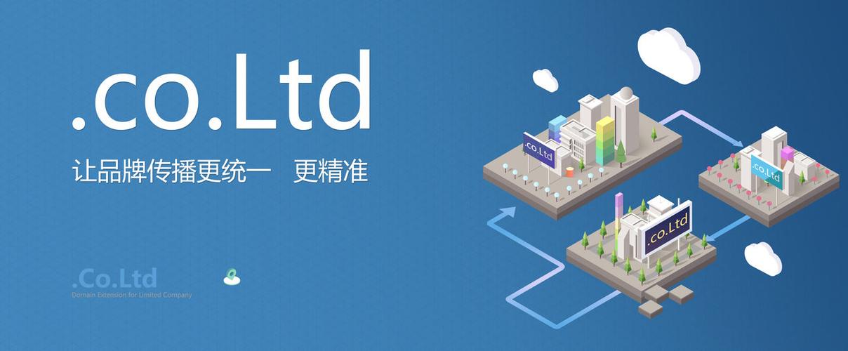 什么是co域名在商业网站中的应用表现有何特点？
