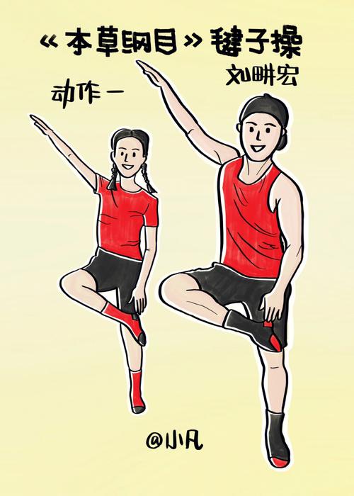 如何本地搭建代码版的《本草纲目》毽子舞系统？