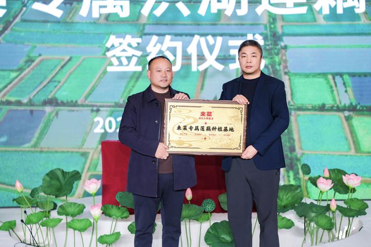 苏州亿康网页设计项目签约成功了吗？这个项目进展如何？