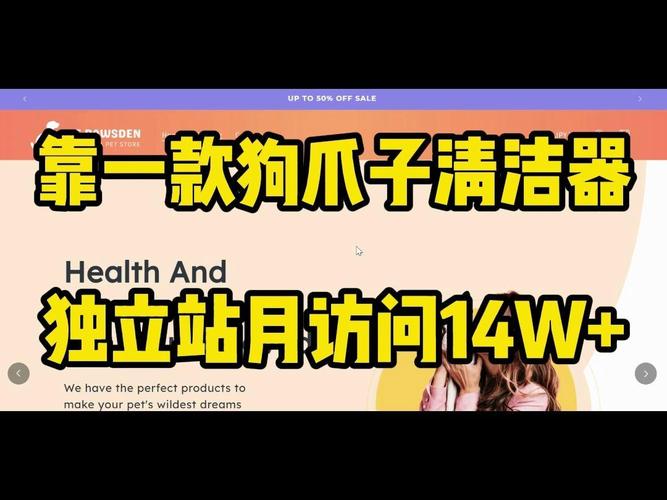 如何通过狗爪清洁器独立站打造年入百万的垂直电商生意？