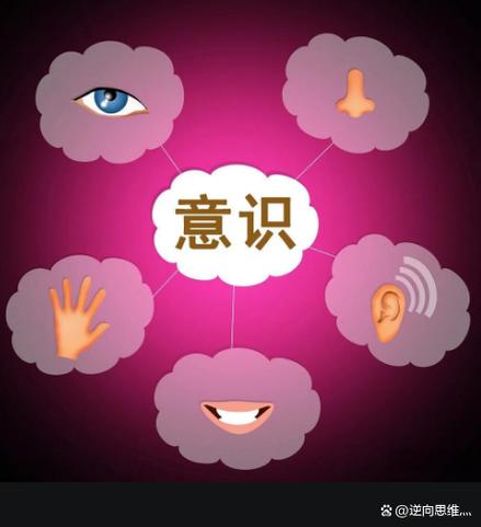 辅助项目思路与意识本质区别在哪里？