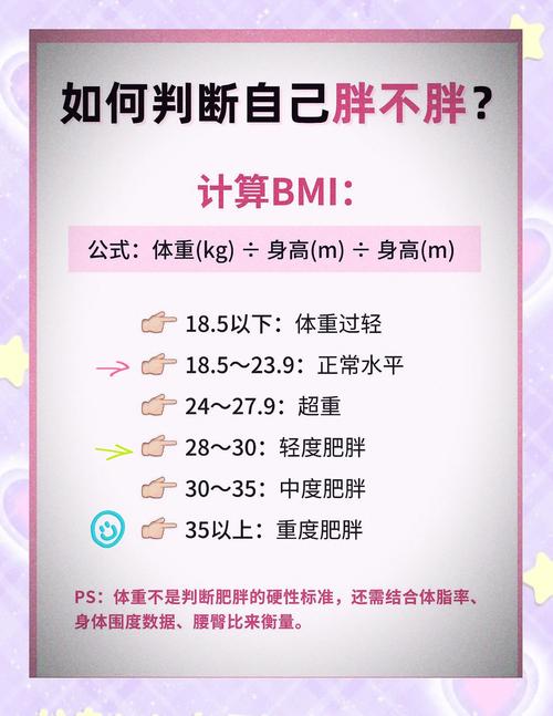 有没有什么好的【BM模板】推荐，适合我这种初学者使用？
