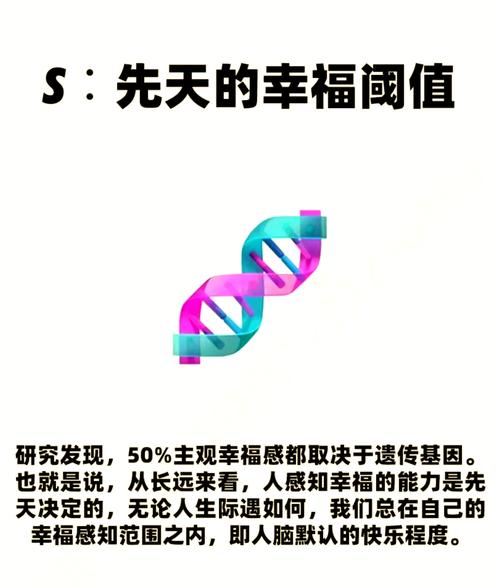 如何通过公式精准计算个人幸福感？