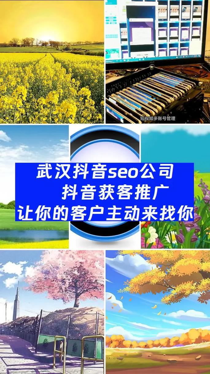 武汉SEO专家，北京优化首选，哪家服务更专业呢？