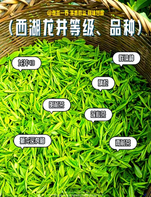 如何通过优化策略提升龙井茶叶相关长尾关键词在搜索引擎中的排名？