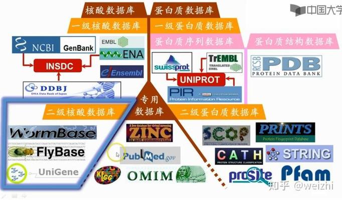 一级核酸数据库具体包含哪些内容？