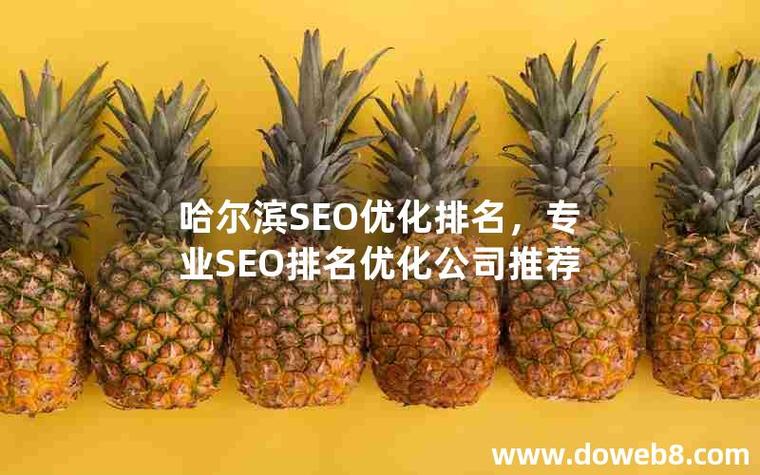 哈尔滨SEO哪家更优，效果显著的首选是哪一家呢？