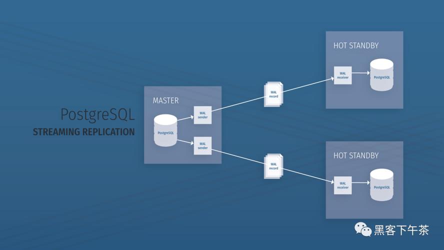 如何快速搭建基于Bitnami PostgreSQL Docker镜像的流复制集群？