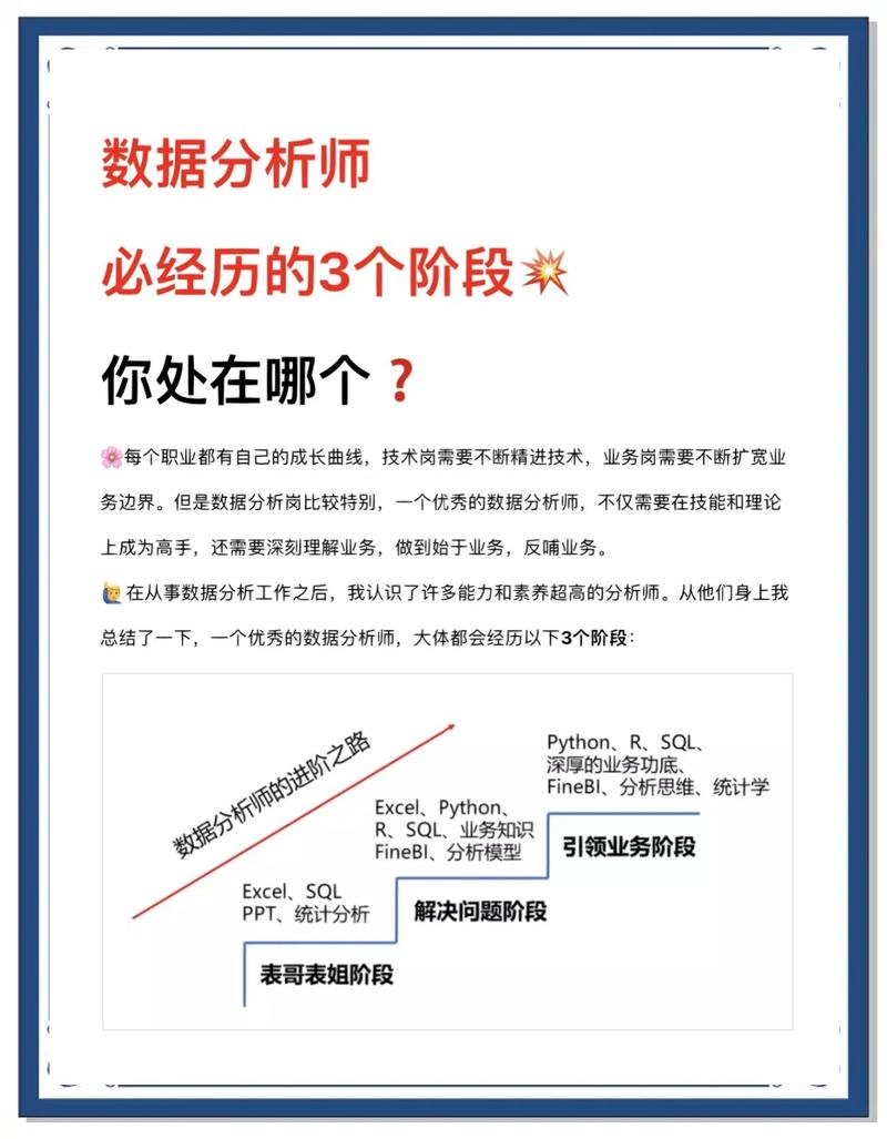 如何从SEO小白一步步成长为数据分析大师，掌握哪些关键技巧？
