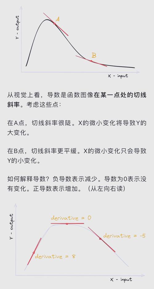 Ptorch中如何实现梯度裁剪、累积及冻结预训练层等常用梯度操作？