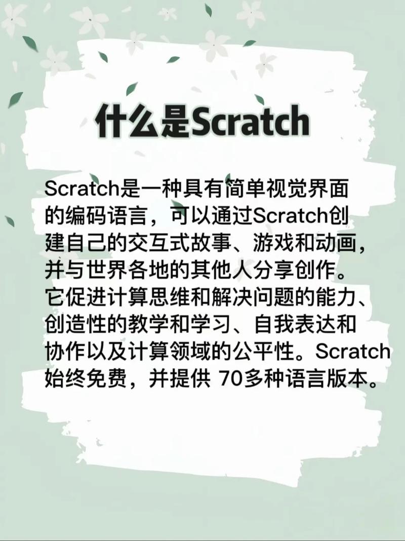 每日编程Day 1，有哪些编程技巧和挑战值得探索？