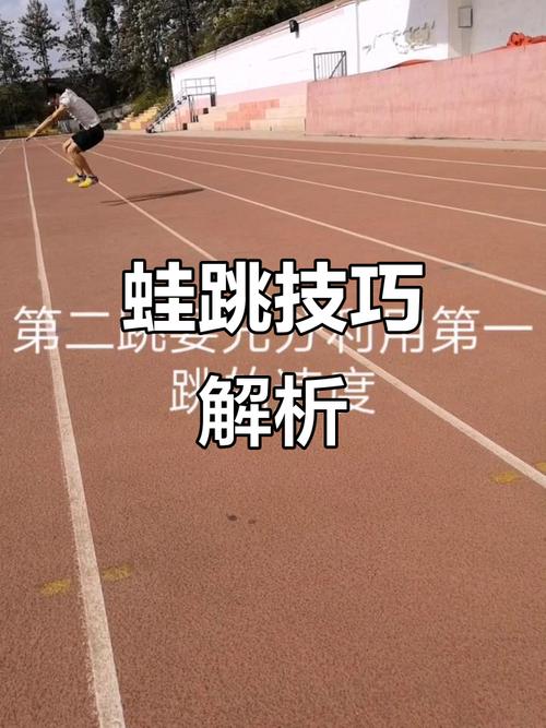 如何运用混合蛙跳算法高效识别长尾词？