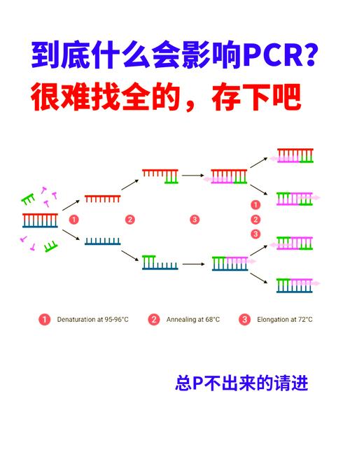 DnA在找零时遇到什么具体问题？