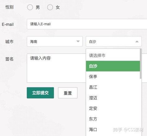 layui表单元素如何解决选中项的默认显示问题？