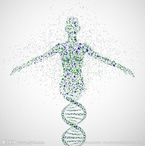 遗传标记数据库具体指的是什么？