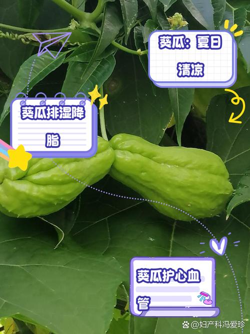 为了更深入地品味这个瓜，我点开评论，竟引发热议，太吸引人了！