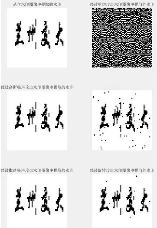 DWT数字水印嵌入的图像隐藏技术，Matlab源码中如何防御提取攻击？