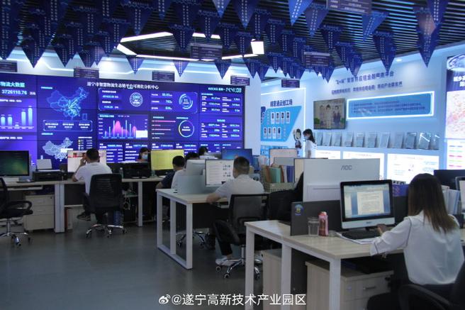 遂宁专业网站建设公司，如何成为数字时代卓越网络体验的缔造者？
