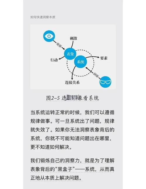 如何轻松辨析网站本质，深入洞察其功能和目的？