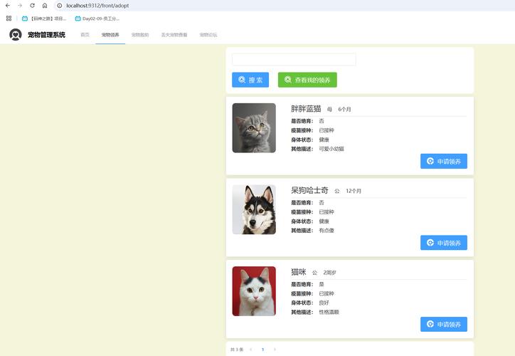 如何利用SSM技术打造一个长尾关键词驱动的宠物领养信息查询系统？
