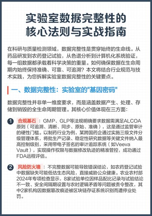 数据库中如何精确设置确保数据完整性的详尽规则？