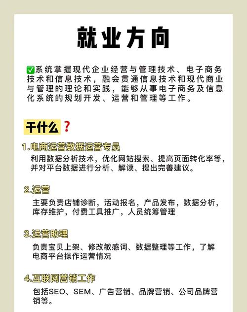 电商专业毕业生，如何成为多领域就业的佼佼者？