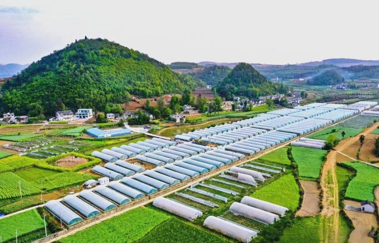 贵州新农村建设专业网站有哪些，如何成为推动农业现代化与乡村振兴的新引擎？
