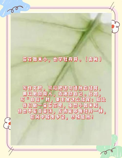 如何打造一篇既精准原创又充满价值的内容？