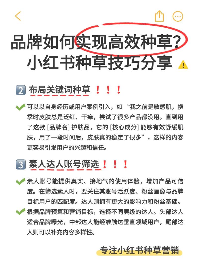 如何利用SEO种草，打造品牌曝光的神奇利器？