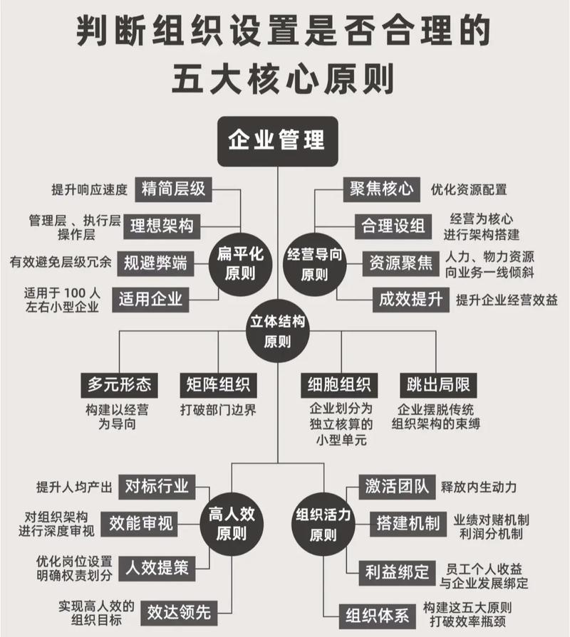 项目办与内设机构在本质上有何根本不同之处？