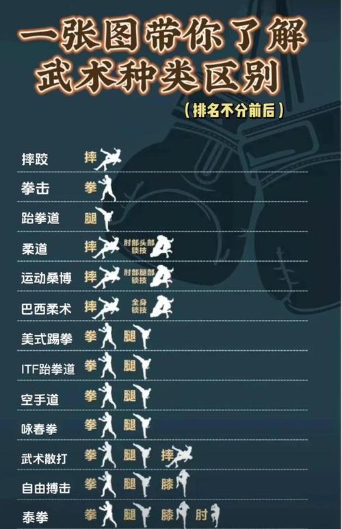 武术和武术项目具体有哪些区别？