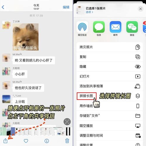 有哪些拼图软件支持照片拼图制作？