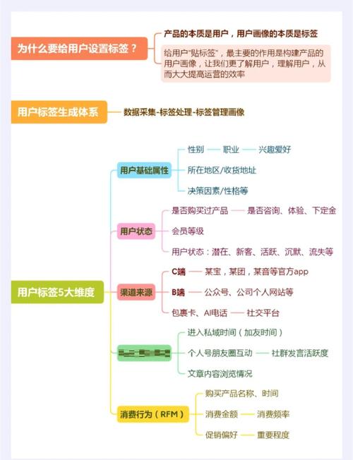 OC基础day03中如何高效运用长尾关键词进行精准营销？