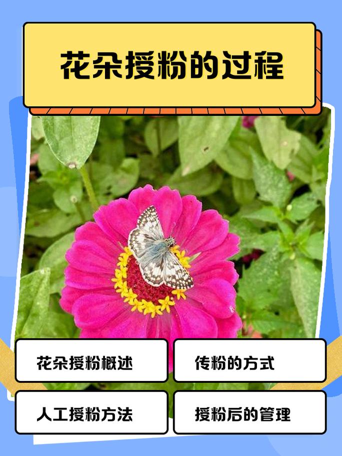 如何运用花朵授粉算法优化深度极限学习机进行数据预测？
